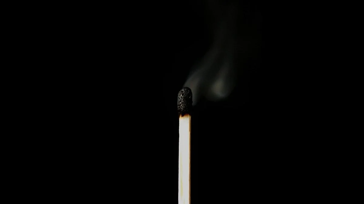 威廉姆斯女王杯双打回归：阵容结构与角色分工解析